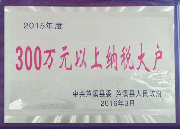 2015年度300萬(wàn)元以上納稅大戶